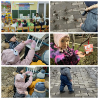 Группа √8 принимает участие в акции "Покормите птиц зимой!". Группа √8 принимает участие в акции "Покормите птиц зимой!".